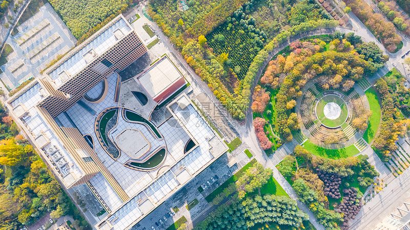小型继电器尺寸解析：欧姆龙继电器尺寸如何选择**