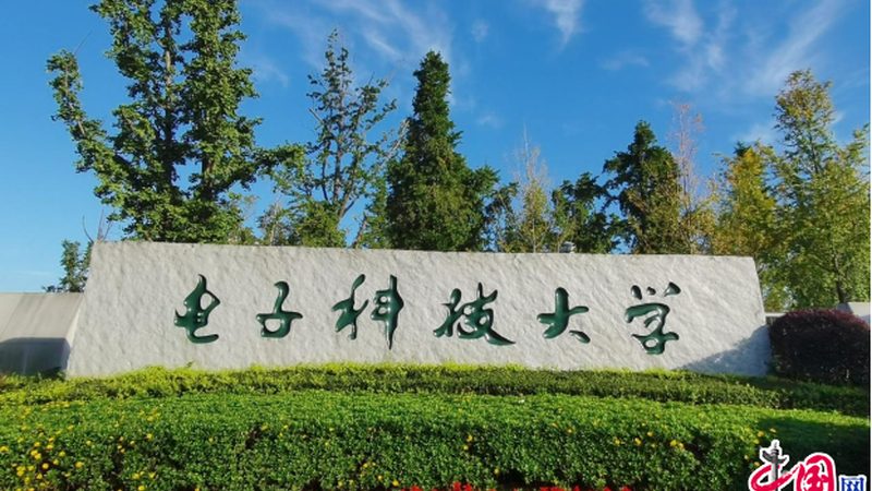 电子元件报价单模板：揭秘其关键要素与制作要点
