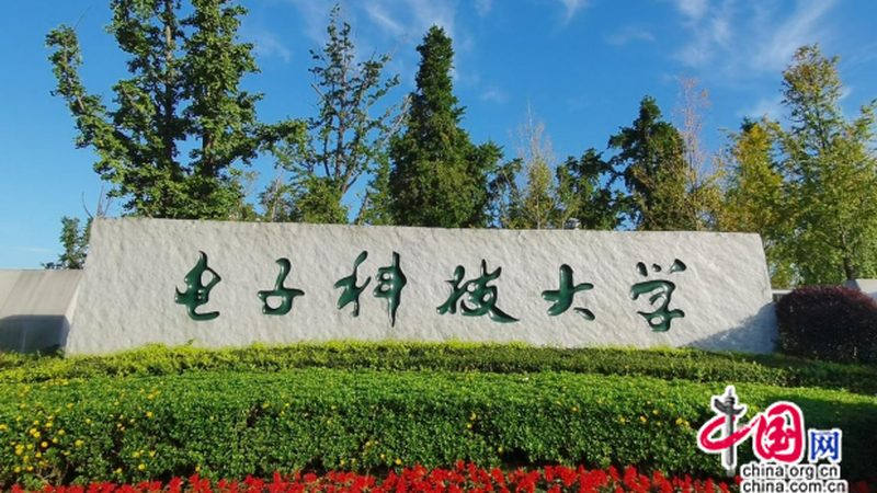 上海芯片设计公司分类解析：如何选择合适的设计方案
